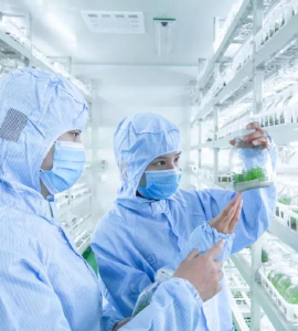 蜜柚视频了app下载汅api免费下载技术
