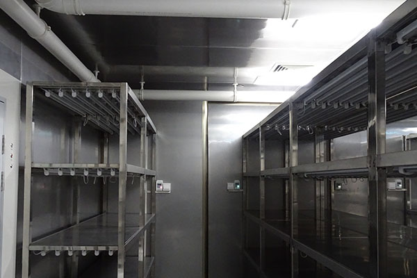 蜜柚视频了app下载汅api免费下载室