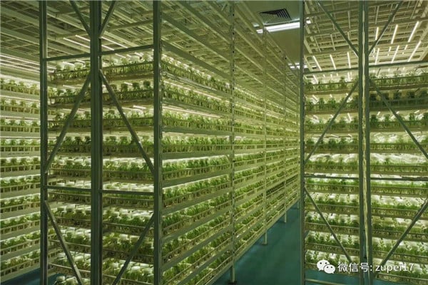 蜜柚视频了app下载汅api免费下载仪器设备